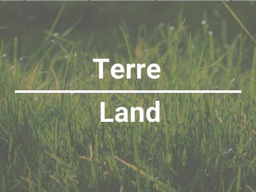 Terre/Terrain - Rang Est Rivière Ste-Anne, Sainte-Anne-Des-Monts, QC 