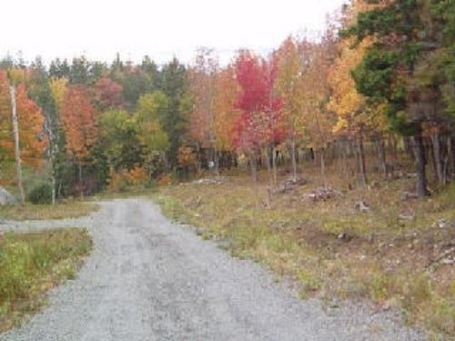 Lot 7 Macleod Pond Road, Roberta, NS 