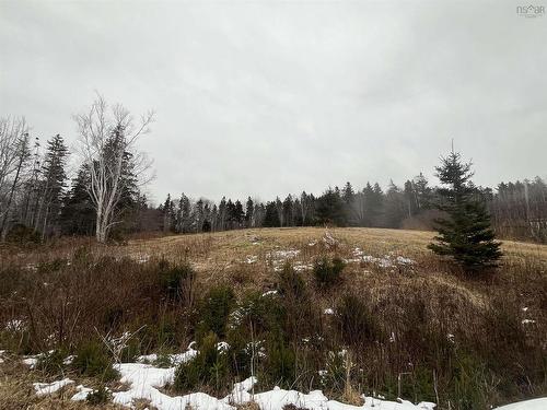 Lot 7 Macleod Pond Road, Roberta, NS 