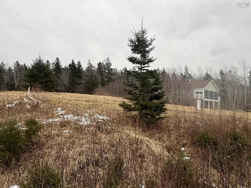 Lot 7 Macleod Pond Road, Roberta, NS 