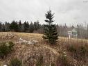 Lot 7 Macleod Pond Road, Roberta, NS 