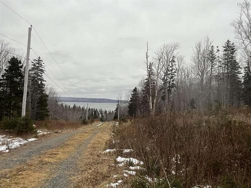 Lot 7 Macleod Pond Road, Roberta, NS 