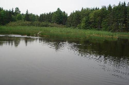 Lot 7 Macleod Pond Road, Roberta, NS 