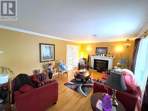 364 Main Street, Northern Arm, NL - Indoor Photo Showing Living Room With Fireplace
