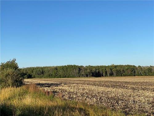 Vacant Land For Sale In Wilkes South, Winnipeg, Manitoba