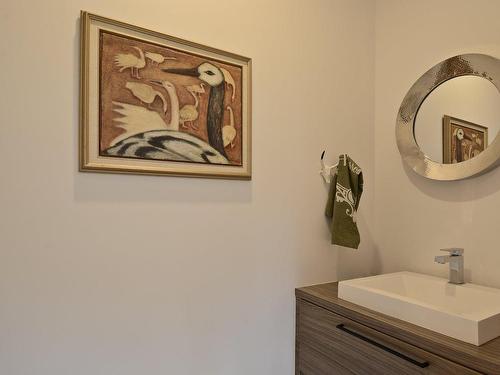 Powder room - 405 Allée De La Tourbière, Saint-Sauveur, QC - Indoor Photo Showing Bathroom