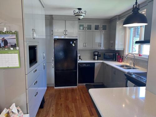 Kitchen - 88 Rue Pelletier, Drummondville, QC - Indoor Photo Showing Kitchen With Double Sink