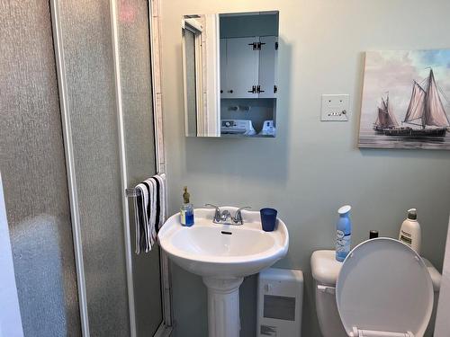 Salle de bains - 88 Rue Pelletier, Drummondville, QC - Indoor Photo Showing Bathroom