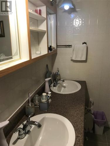 13 Goose Cove Road, North Harbour, NL - Indoor Photo Showing Bathroom