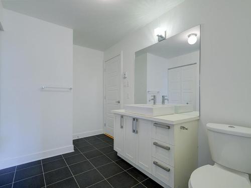 Ensuite bathroom - 203-2455 Rue Du Centre, Montréal (Le Sud-Ouest), QC - Indoor Photo Showing Bathroom