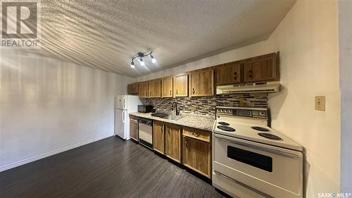 301 610 Hilliard Street W, Saskatoon, SK - Indoor Photo Showing Kitchen