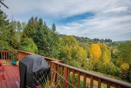 2007 Princess Avenue, Rossland, BC - Outdoor With View