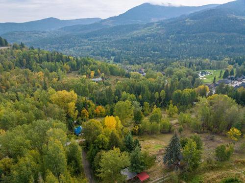 2007 Princess Avenue, Rossland, BC - Outdoor With View