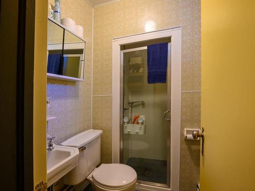 Ensuite bathroom - 73 Rue St-Louis, Warwick, QC - Indoor Photo Showing Bathroom