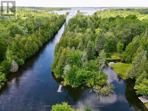 81 Mcguire Beach Rd, Kawartha Lakes, ON - Outdoor With Body Of Water With View