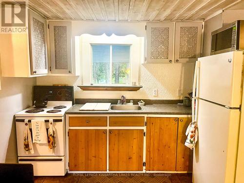 81 Mcguire Beach Rd, Kawartha Lakes, ON - Indoor Photo Showing Kitchen