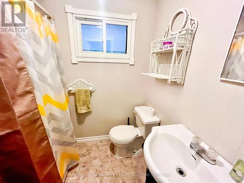 81 Mcguire Beach Rd, Kawartha Lakes, ON - Indoor Photo Showing Bathroom