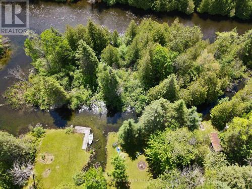 81 Mcguire Beach Rd, Kawartha Lakes, ON - Outdoor With Body Of Water With View