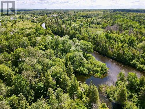 81 Mcguire Beach Rd, Kawartha Lakes, ON - Outdoor With View