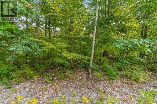 Lot 624 Forest Circ, Tiny, ON 