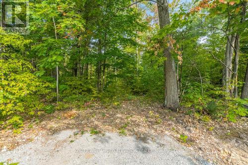 Lot 624 Forest Circ, Tiny, ON 