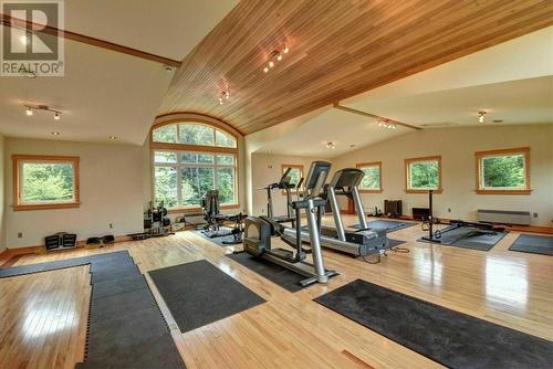 2247 Boom Siding Road, Little Rapids, NL - Indoor Photo Showing Gym Room