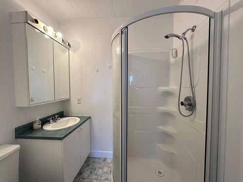 Salle de bains - 109 Av. Mailloux, La Pocatière, QC - Indoor Photo Showing Bathroom