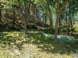Wooded area - 