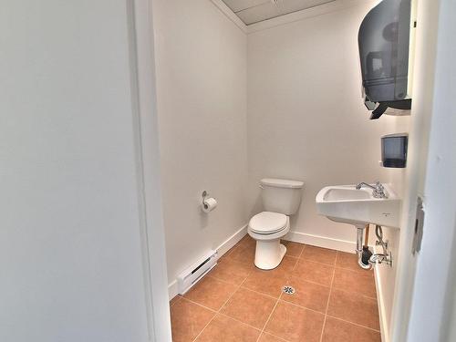 Interior - 359 Boul. Des Bois-Francs N., Victoriaville, QC - Indoor Photo Showing Bathroom