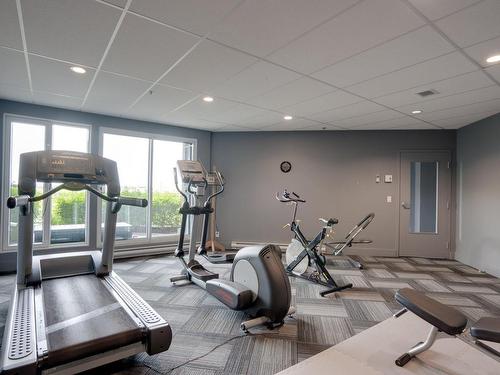 Exercise room - 311-1600 Rue Métivier, Lévis (Desjardins), QC - Indoor Photo Showing Gym Room