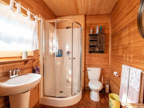 Salle de bains - 3948 Rive Du Lac-Tremblant, Lac-Tremblant-Nord, QC - Indoor Photo Showing Bathroom