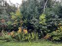 Lot 4 - 4 Shore Road, Southampton, ON 