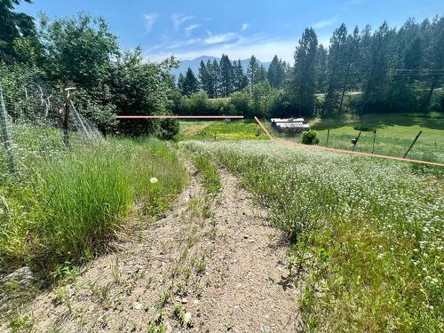 8875 North Fork Rd, Grand Forks, BC - Outdoor With View