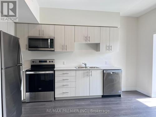 210 - 387B King Street E, Kitchener, ON - Indoor Photo Showing Kitchen With Double Sink