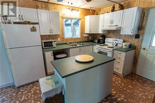 178 Purple Finch Trail, Westmeath, ON - Indoor Photo Showing Kitchen With Double Sink