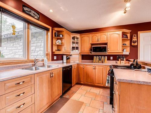 Cuisine - 79 Ch. Des Oies, Pontiac, QC - Indoor Photo Showing Kitchen With Double Sink