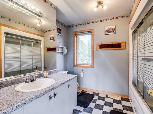 Salle de bains - 79 Ch. Des Oies, Pontiac, QC - Indoor Photo Showing Bathroom