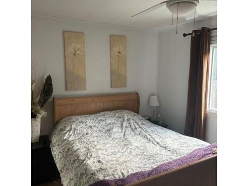 Chambre Ã  coucher principale - 1366 Rue Gauthier, Acton Vale, QC - Indoor Photo Showing Bedroom