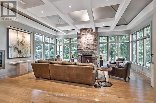 177 Lovers Lane, Hamilton, ON - Indoor Photo Showing Living Room With Fireplace