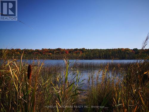 4088 & 4008 Moneymore Road, Tweed, ON - Outdoor With Body Of Water With View