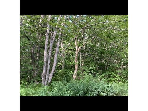 Simon'S Rd., Frankville, NS 