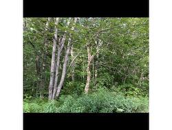 Simon's Rd.  Frankville, NS B0H 1P0