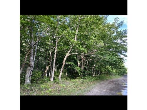 Simon'S Rd., Frankville, NS 