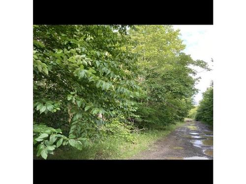 Simon'S Rd., Frankville, NS 