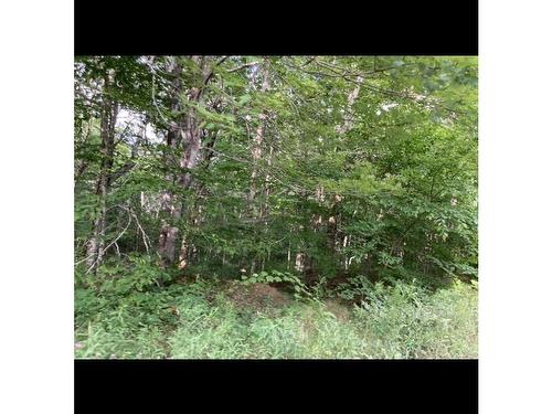 Simon'S Rd., Frankville, NS 