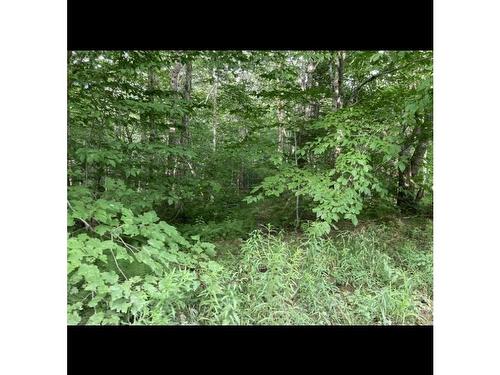 Simon'S Rd., Frankville, NS 