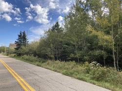 Frankville Rd.  Frankville, NS B0H 1P0