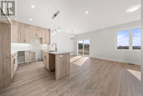 217 Beasley Crescent, Prince Edward County, ON - Indoor Photo Showing Kitchen With Upgraded Kitchen