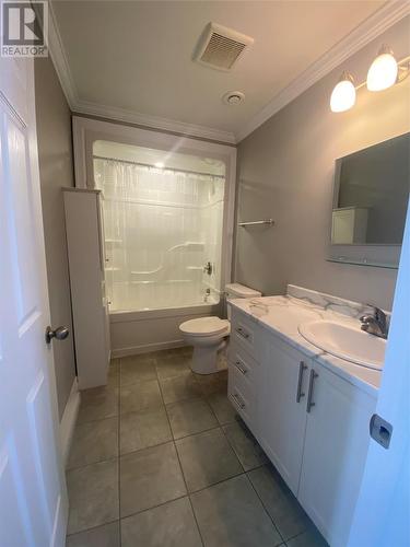 13 Briggs Street, Gander, NL - Indoor Photo Showing Bathroom