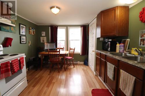 29 Goodview Street, S. John'S, NL - Indoor Photo Showing Kitchen With Double Sink